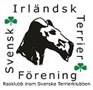 Svensk Irländsk Terrierförening